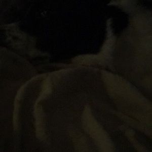 Meet your Posher, Alicia